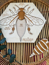 Wooden Bee Puzzle- Large