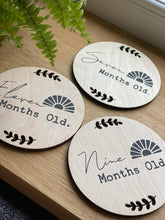 Boho Wanderer Age Milestone Discs